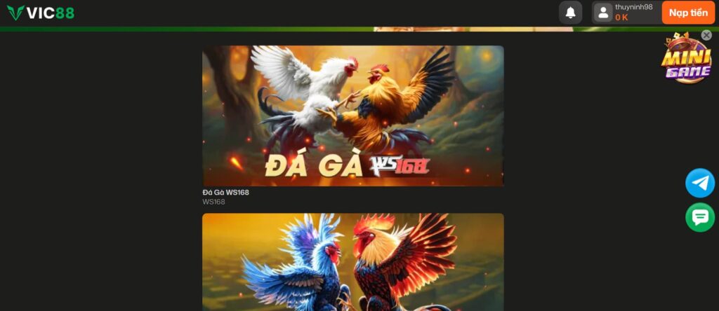 Đá gà 1 Chọi gà tại Vic88