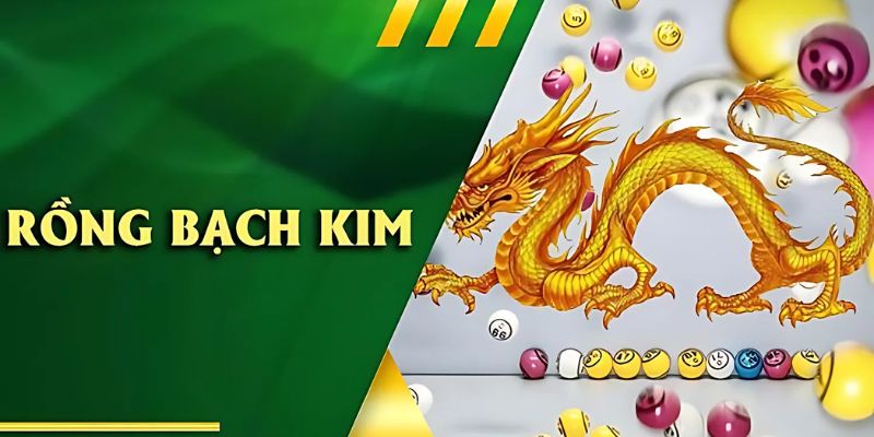 Rồng bạch kim là gì? Công cụ soi cầu lô đề có hiệu quả? 2 rồng bạch kim là gì?